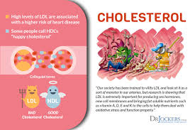 High Cholesterol On A Ketogenic Diet Drjockers Com
