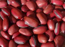 Image result for Canavalia gladiata