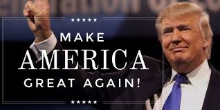 Image result for make america great again images