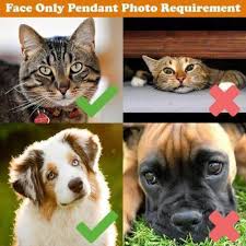 Grocery, household essentials & pet. Personalized Pet Keyring Personalized Photo Keychain Engrave Photo Keepsake Cat And Dog Keyring Photo Pendant Pet