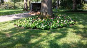 Planting Annual Flowers In The Mulch Of Your Tree Rings Can Be A Great Way To Add Color And Intere Landscaping Tips Landscaping Around Trees Lawn And Landscape