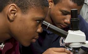 Romine Group Services