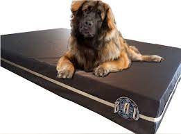 Here are some best indestructible dog bed to make your dog feel comfortable and sleepy fast. Dark Brown Xl Chew Proof Dog Bed The Best Dog Bed For Destructive Dogs Www Bigassdogcompany Co Chew Proof Dog Bed Indestructable Dog Bed Orthopedic Dog Bed