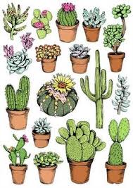 Use more water during growing season. 80 Best Succulents Drawing Ideas In 2021 Succulents Drawing Drawings Watercolor Art