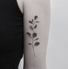 Dotwork Tattooist Tattoos Tattoo Back Tattooist Dotwork Tattoos Plants By Foot Tattoos Tattoos For Guys Tattoos