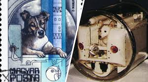 Résultat de recherche d'images pour "LAÏKA"