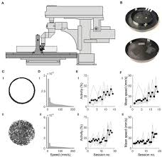 Vis de iubire episodul 18 online subtitrat gratis. Frontiers Place Cells In Head Fixed Mice Navigating A Floating Real World Environment Cellular Neuroscience