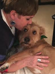 Volunteer Spotlight: Marion Whelan