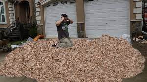 80 000 pennies in dollars. Giving 3 000 000 Pennies To My 3 000 000th Subscriber Youtube