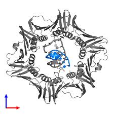 Dap services česky / pусский contact about us. Pdb 3bep Gallery Protein Data Bank In Europe Pdbe Embl Ebi