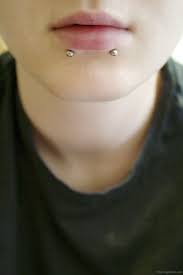 Two piercings just under the bottom lip: 100 Snake Bites Piercing Ideas Faqs An Ultimate Guide 2021