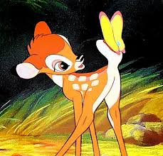 images?q=tbn:ANd9GcTRQuLbQgWhPouwAI4n1vCsTAnK5KQ3PGrcCEBxpanIcuE4Bc5B