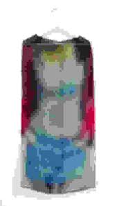 Bildergebnis für Shahin Afrassiabi