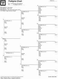 Pedigree Chart Bfm Research Genealogy Training And Education