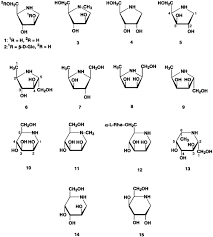 Image result for Angylocalyx