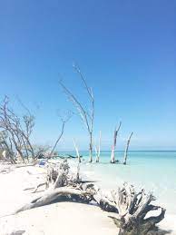 Sarah Tucker Longboat Key Florida Beach Longboat Key Florida Florida Travel