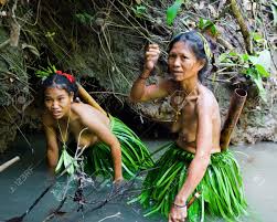 WEST SUMATRA, SIBERUT ISLAND, INDONESIA ...