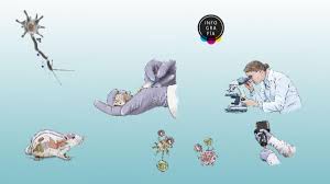 I am a scientist, working on the therapeutic use of in vitro transcribed mrna. Biontech Prueba Con Exito Vacuna De Arn Mensajero Contra La Esclerosis Multiple