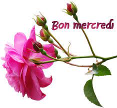 Bon mercredi