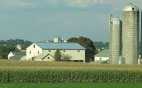 Visit four stores where locally handcrafted pieces draw customers looking for that special addition to their home. 13 Top Amish Furniture Stores In Lancaster Pa Beyond For 2021