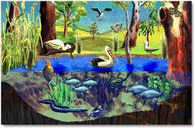 Ecosystem Plants 6th Grade Science Wetland Biome Ecosystems