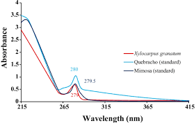 Image result for Tessmannia burttii