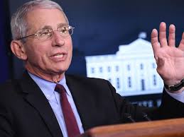 No dignity in death as corpses pile high