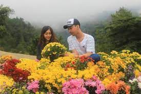 Nama hewan huruf a bahasa inggris. Https Travel Kompas Com Read 2019 07 03 160700627 Bukit Lintang Sewu Pilihan Glamping Di Yogyakarta Https Asset Kompas Com Crops Jmlbr7g Qf Maxcvu Ir2f1eaya 0x0 1068x712 750x500 Data Photo 2019 07 03 1469988768 Jpeg Tenda