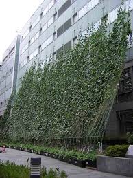 Green Curtains Outside The Arakawa City Hall In Tokyo Japan Photo Bloomberg Anticipating Rising Energy Costs Urban Garden Municipal Gardens Vertical Garden