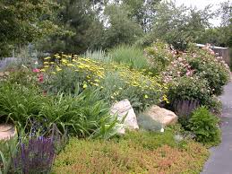 Essentially, xeriscaping is a sustainable form of landscaping that conserves water, protects the fortunately, xeriscaping makes this last step easy. Xeriscape Garden Design Kumpulan Materi Pelajaran Dan Contoh Soal 2