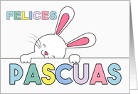 Would you like to know how to translate easter bunny to turkish? Spanish Easter Cards From Greeting Card Universe