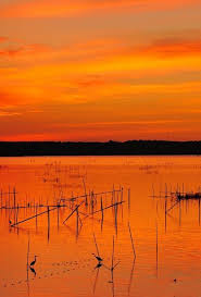 Black And Orange Wallpaper Aesthetic Pin By Linda On Orange Orange Wallpaper Orange Aesthetic Shades Of Orange