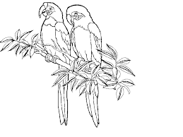 Each pillow contains a down insert. Coloring Pages Rainforest Bird Coloring Pages Bird Coloring Page Bird Coloring