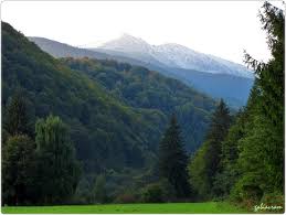 4 camere, maxim 9 persoane. Peisaj Spre Muntii Fagaras Din Complexul Turistic Sambata De Sus Mapio Net