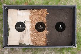 Cardboard mulch needs to stay moist, so plan to cover it with compost or another material if you live in a dry climate. How To Create A Raised Bed Garden Fresh Exchange