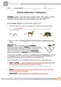 Gizmo cell division answer key. Cladogram Worksheet Answers Gizmo