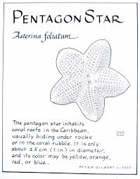Pentagon Star Asterina Foliatum Underarmor Logo Pentagon Coral Reef