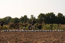 Mathias Cheney (@mathias_cheney) · Instagram 照片和视频