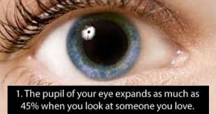 The average individual blinks about once every ten seconds. 13 Eye Popping Fun Facts About Your Eyes To Pleasantly Overwhelm You With New Knowledge Fail Blog Funny Fails