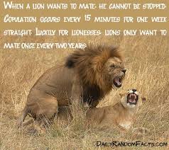 27 Amazing Animal Facts Animal Facts Animals Funny Facts