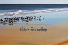 Nature Journalling at the beach