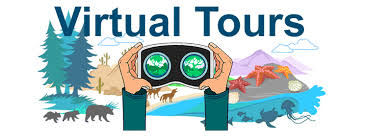 How are virtual field trips effective in an elementary . Biology Virtual Reality Ask A Biologist