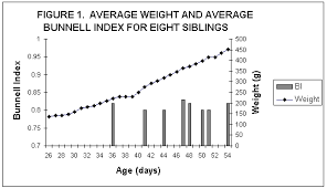 How Much Does A Hedgehog Weigh Avalonit