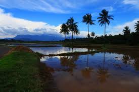 This is one of the biggest bird sculpture in the world. 7 882 Kerala Landscape Stock Photos And Images 123rf