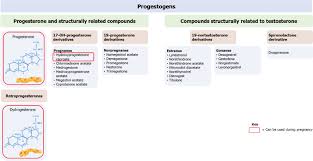 Image result for Pregnane Progestin