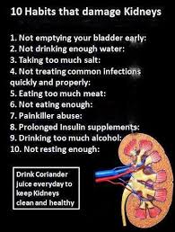 10 Habits That Damage Kidmeys Kidney Health Kidney Friendly Renal Diet