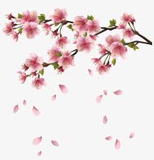 Beautiful pink spring branch with falling petals png, transparent png. Image Beautiful Pink Spring Falling Cherry Blossom Png Png Image Transparent Png Free Download On Seekpng