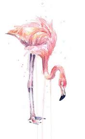 A typical flamingo flocking could be anywhere from 10 to 40 flamingos. Flamingo Painting Watercolor Pink Flamingo Print Flamingo Etsy In 2021 Flamingo Wall Art Flamingo Painting Flamingo Artwork