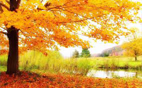 Desktop Wallpaper Hd Full Screen 1440 900 Full Screen Wallpapers For Desktop 43 Wallpapers Adorable Wal Autumn Scenery Scenery Wallpaper Scenery Pictures