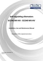 Common starting system problems, testing. Manuale Eco46 49 Hv Mv En Pdf